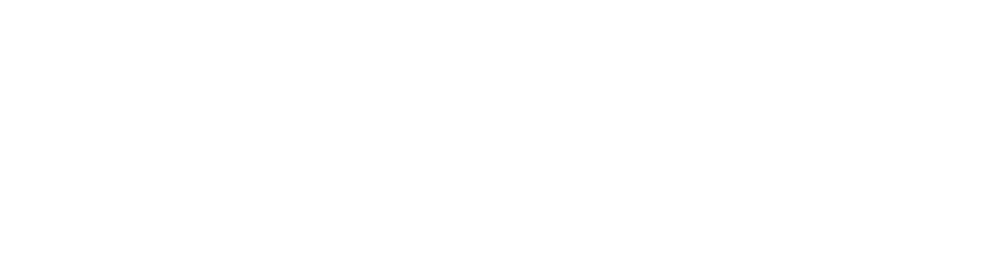 Lig Internet